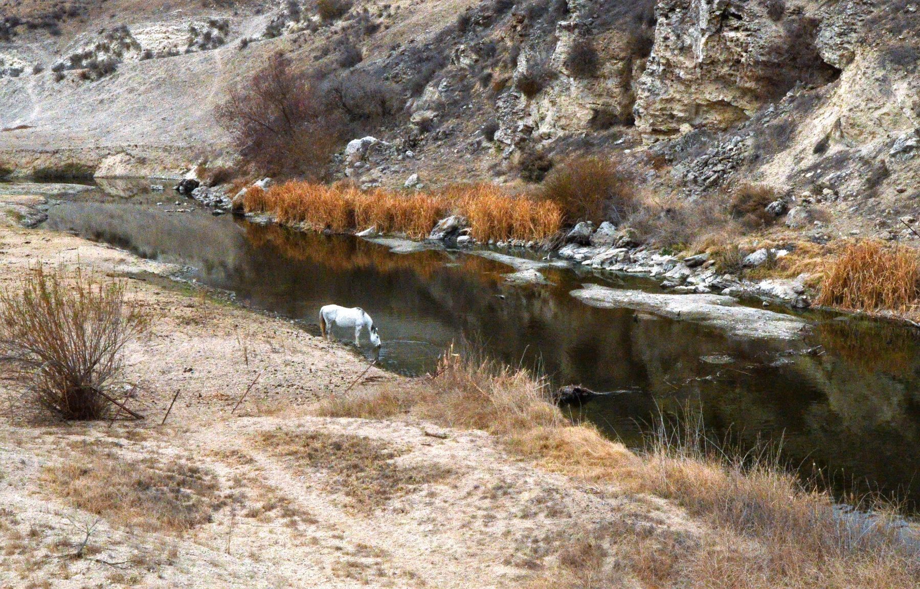 10 cfs Lake San Antonio.jpg